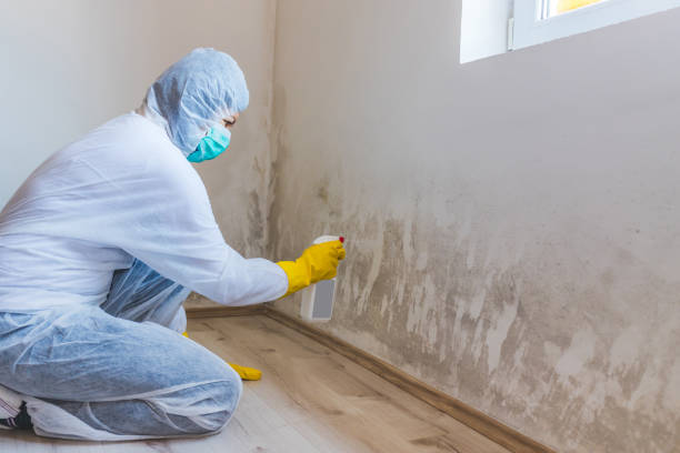 Mold Remediation specialist working in Port Jefferson Station